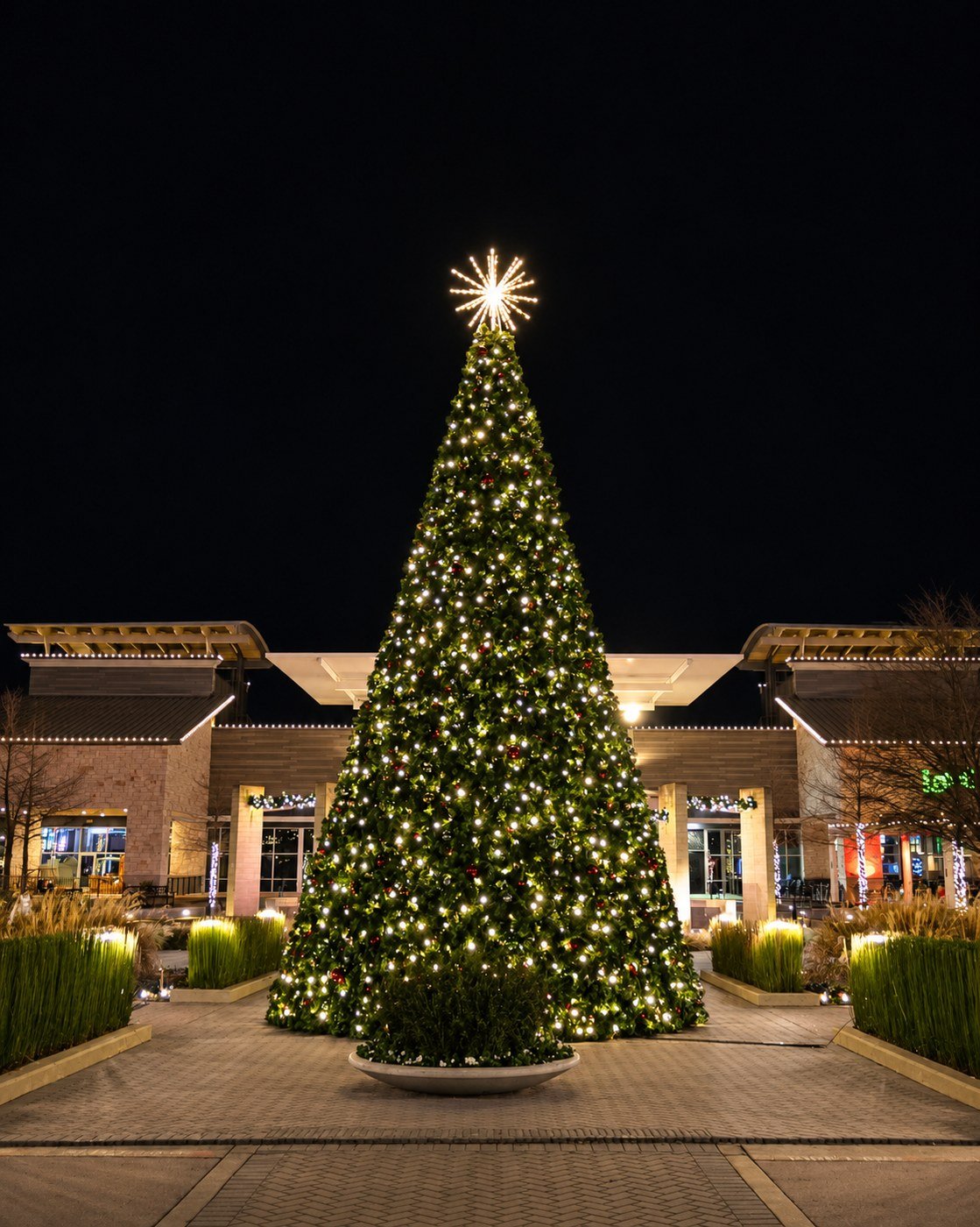 Holiday lighting install by Bright's