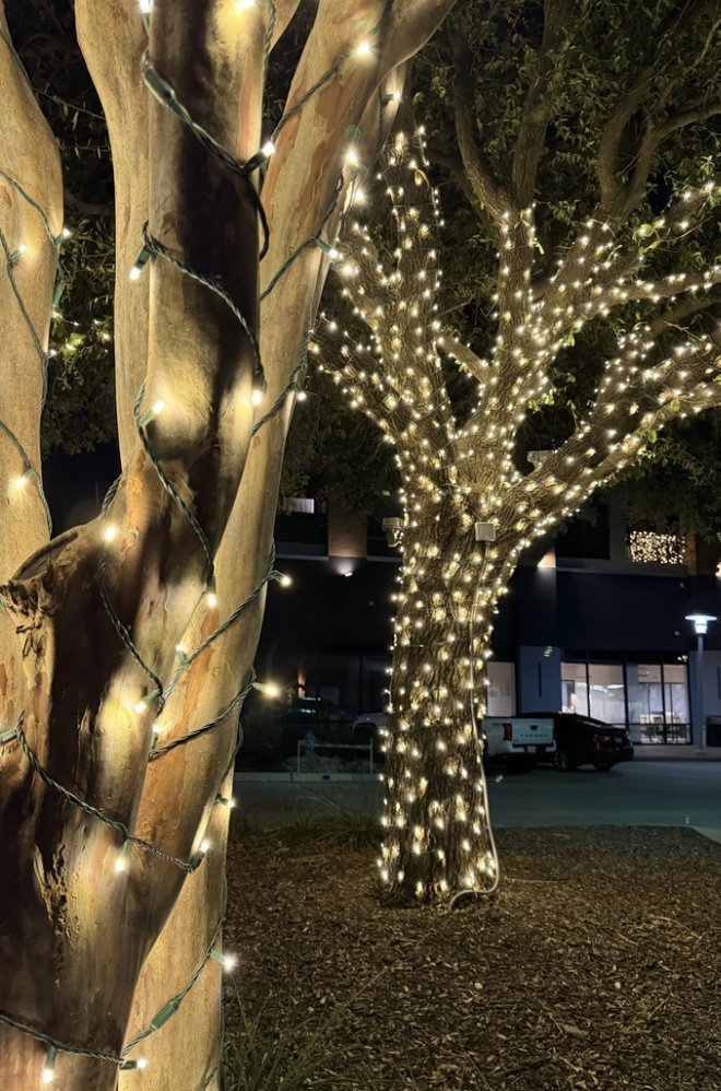Holiday lighting install by Bright's