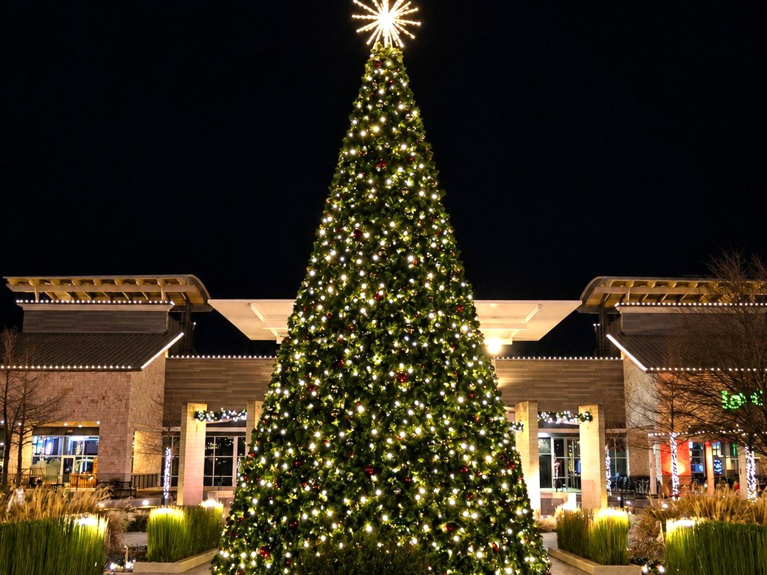 Large lit Christmas tree in a shopping center plaza